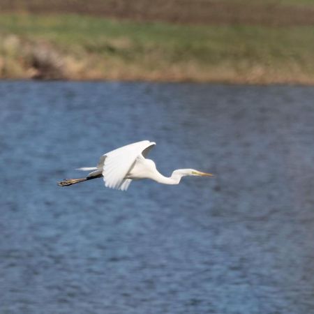 Nature Center Udoli Volavek II Weseritz Eksteriør bilde