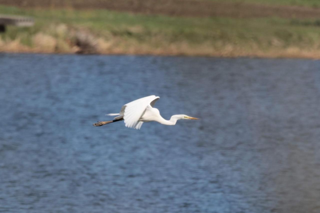 Nature Center Udoli Volavek II Weseritz Eksteriør bilde