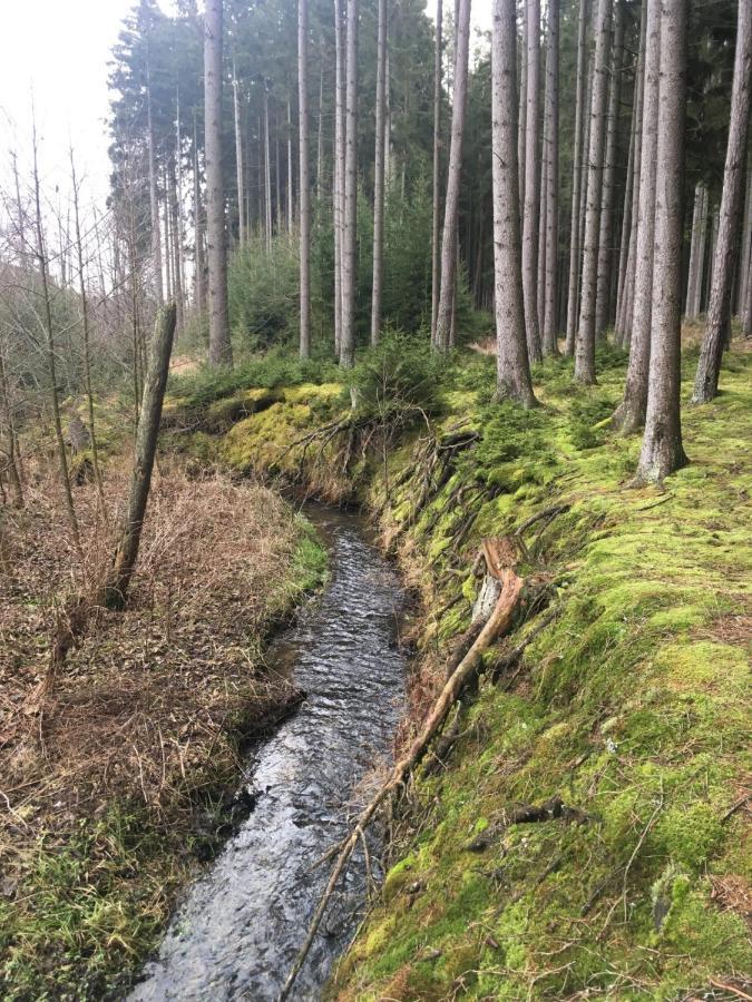 Nature Center Udoli Volavek II Weseritz Eksteriør bilde