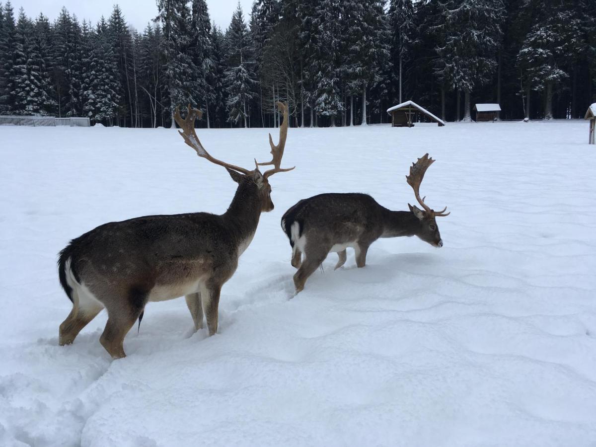 Nature Center Udoli Volavek II Weseritz Eksteriør bilde